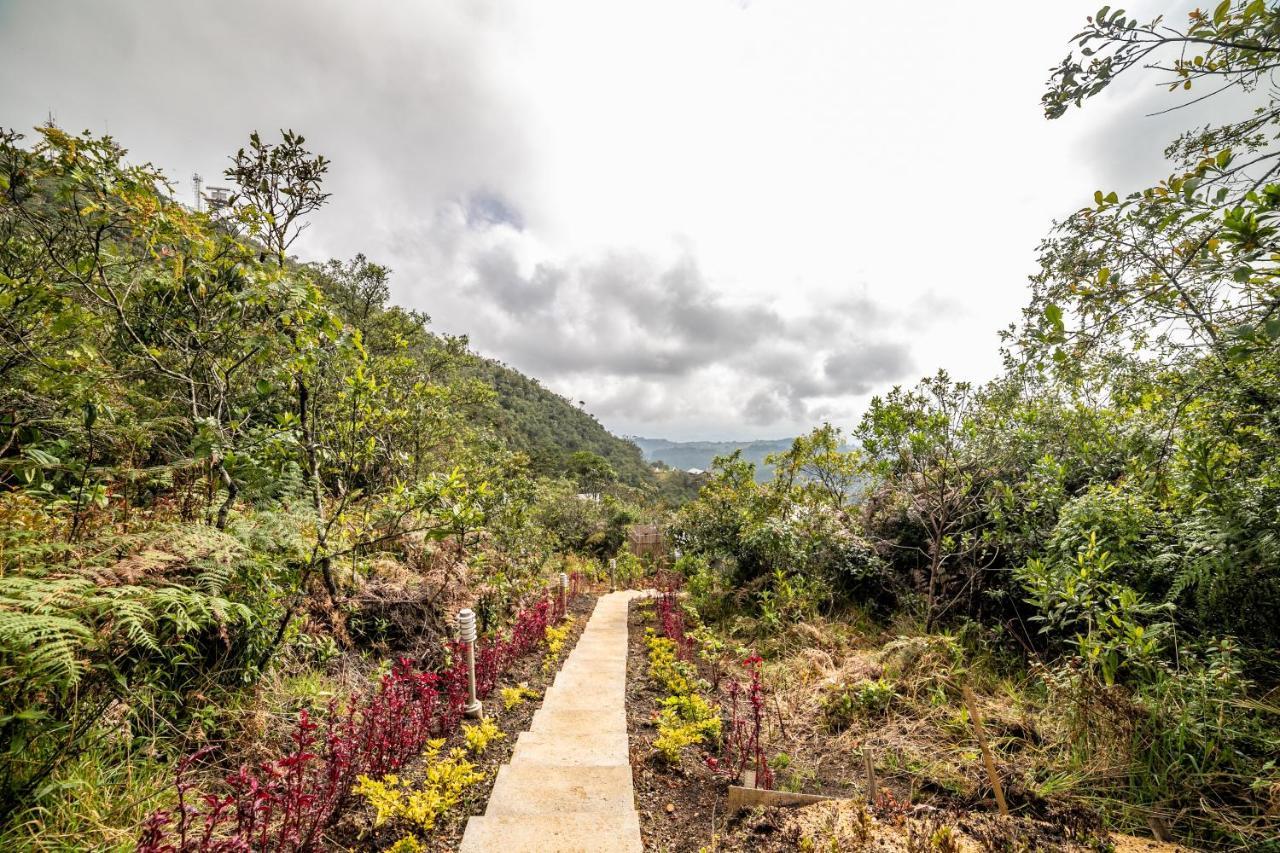 Cerro Verde Mirador Медельин Экстерьер фото